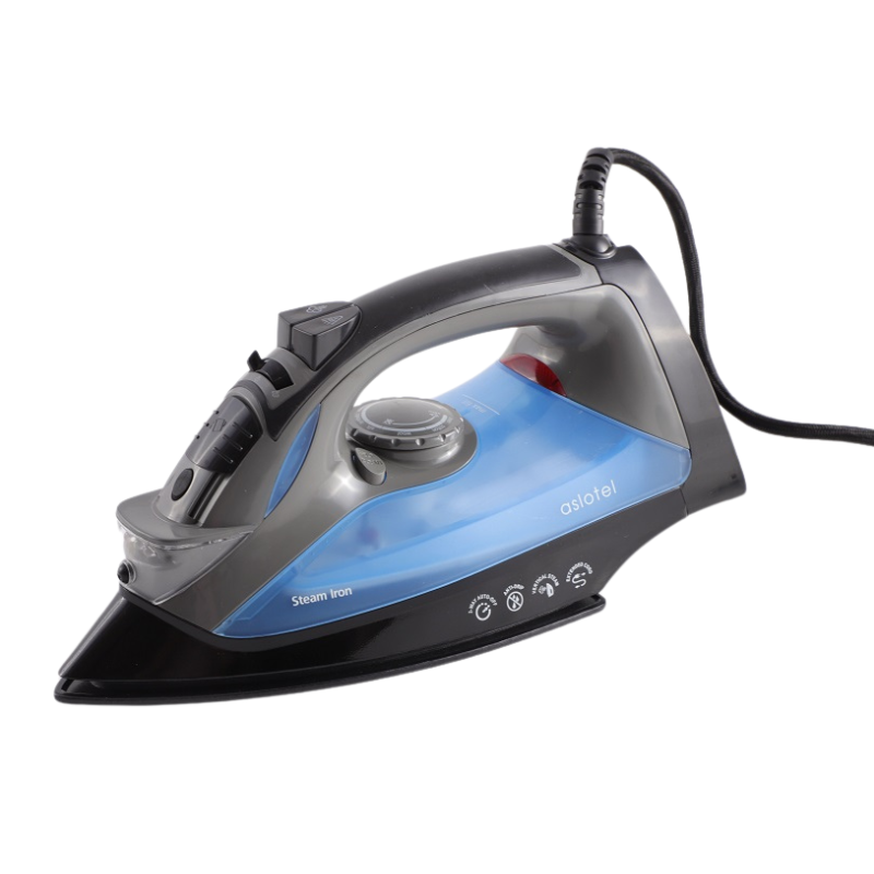 Iron Steam 1200 W
